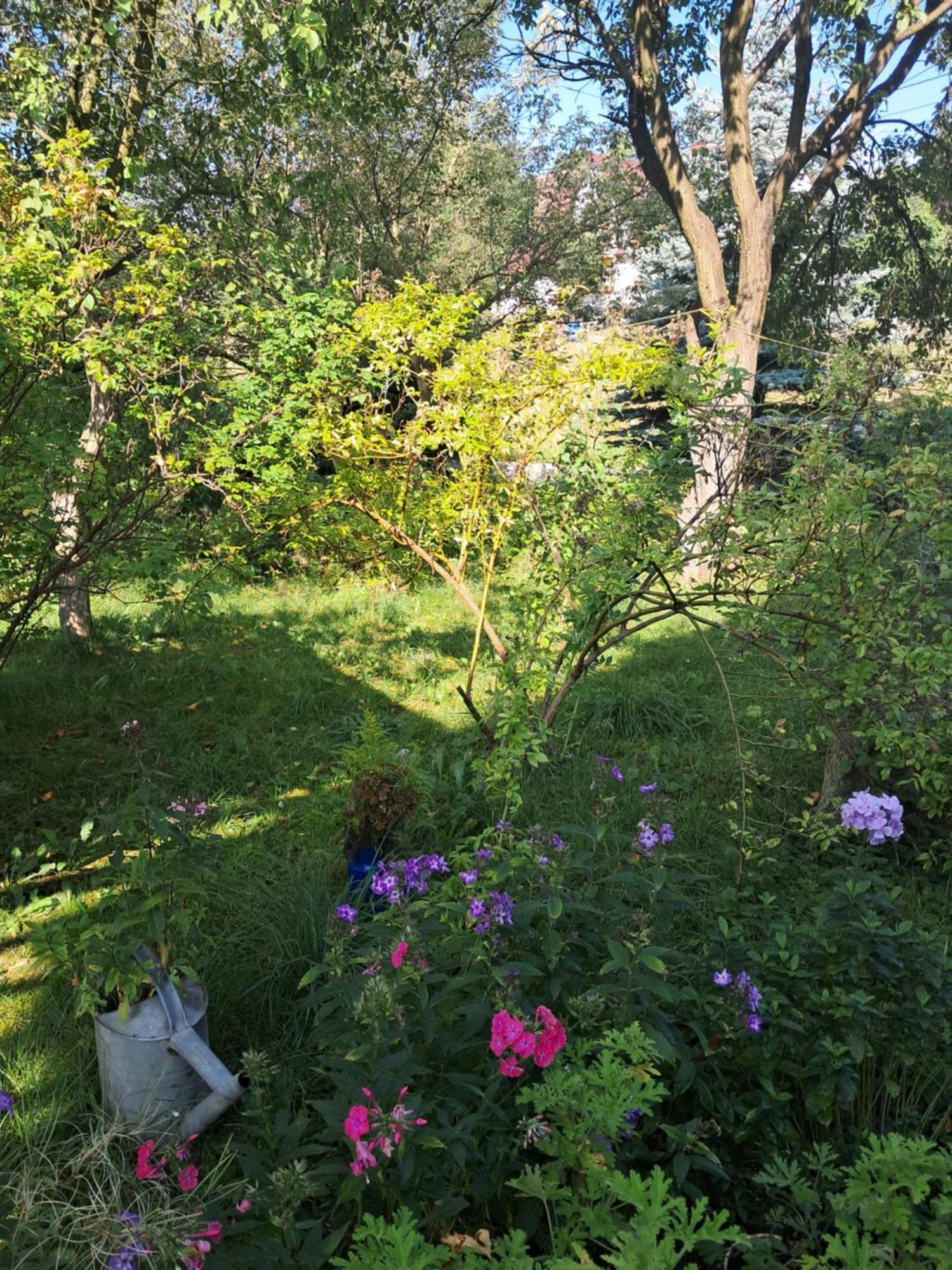 Przytulia Blekitny Apartment Kopaniec Luaran gambar